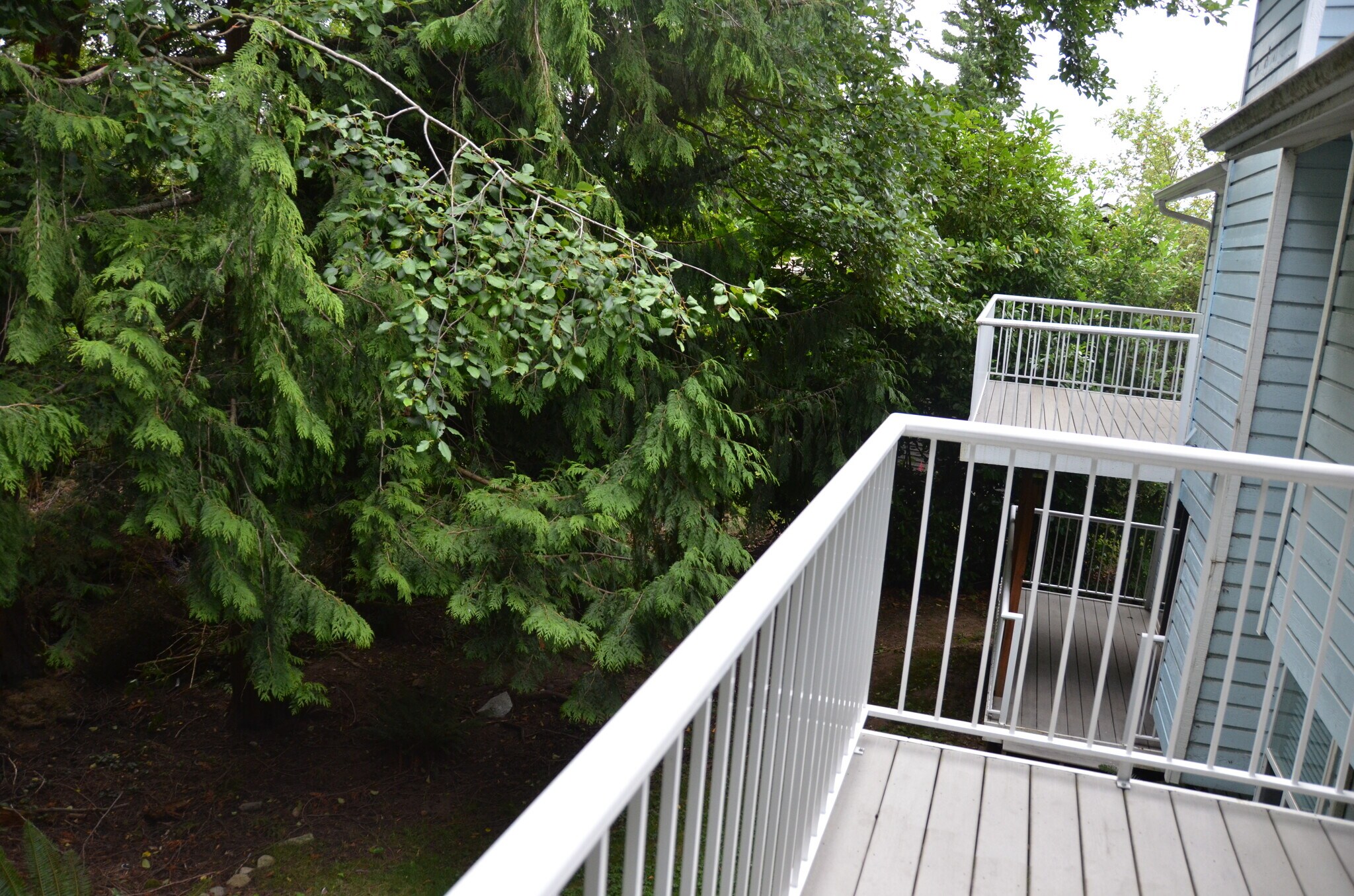 Building Photo - 3700 Beazer