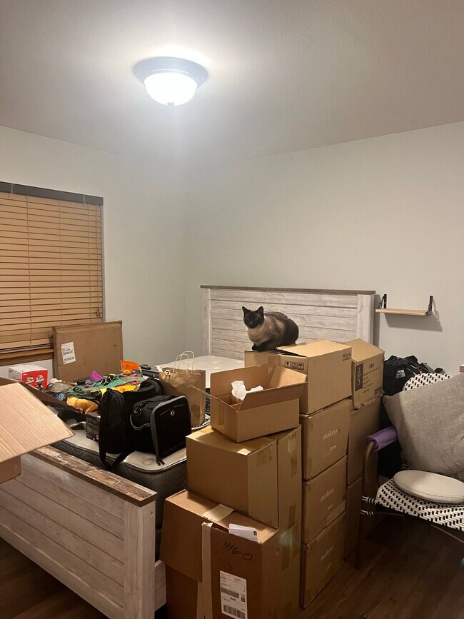 Building Photo - 232 Poplar St