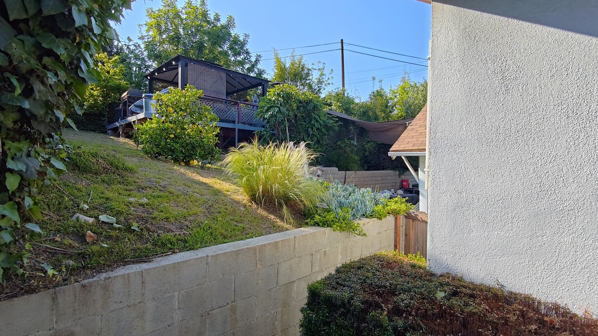 Backyard - 2471 Riverside Pl