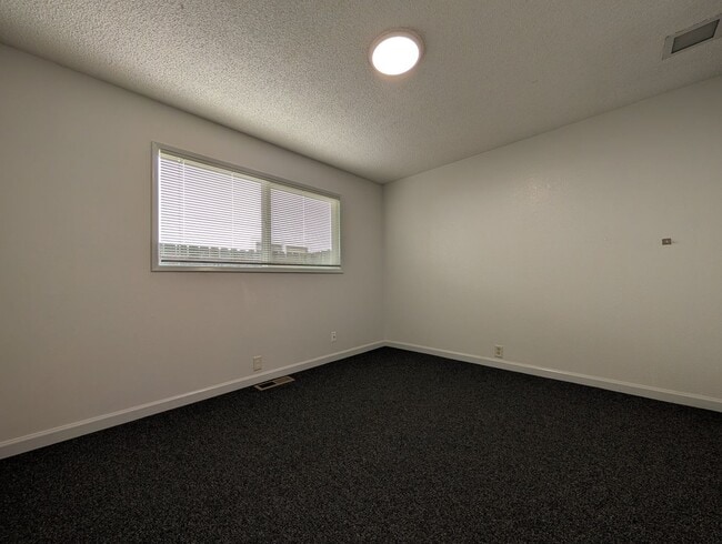 Building Photo - Newly Renovated 3-Bedroom, 1.5-Bath in Fantastic Neighborhood- Sheldon HS District