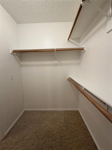 Building Photo - 6436 Stonewater Bend Trail