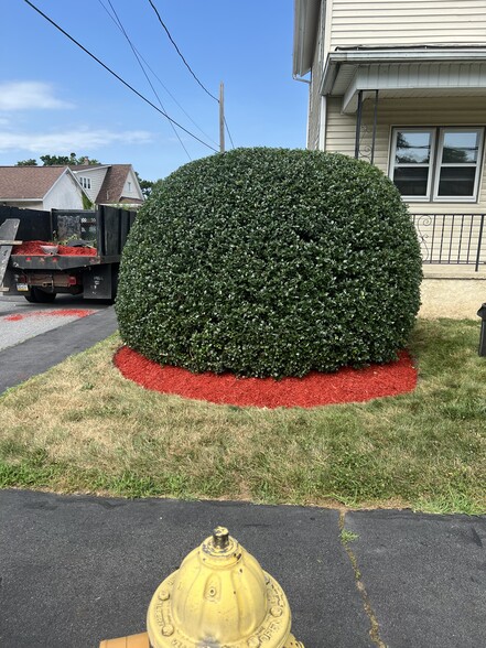 Building Photo - 132 S Apple St