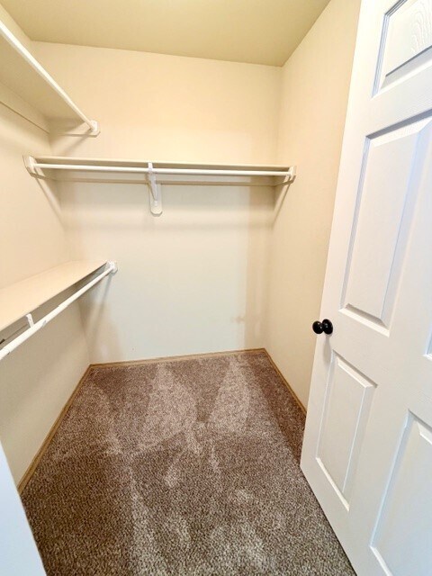 Building Photo - 1153 S Tottenham Ct