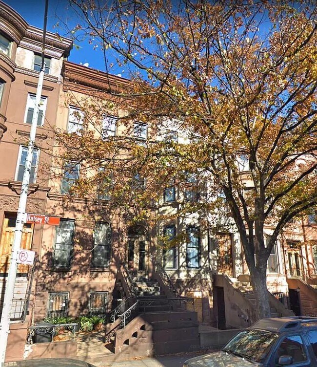 Building Photo - 1 bedroom in Brooklyn NY 11216