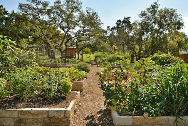 Building Photo - 2805 Dulce Ln