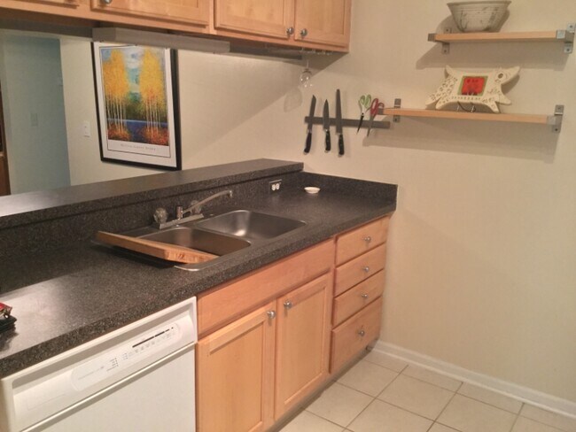 Building Photo - 1123 Joyce Ln