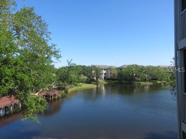 Building Photo - 4115 Chatham Oak Ct