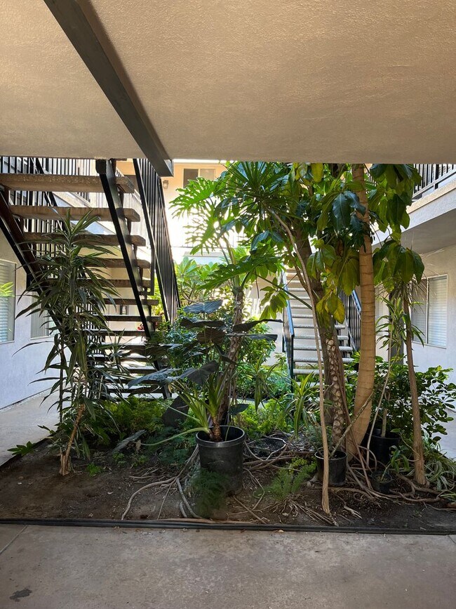Building Photo - COZY LOWER 1BD/ 1 BATH - Free last month