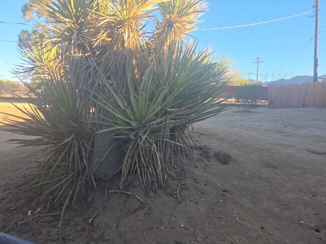 Building Photo - 3 Bedroom 1.5 Bath Modern Farmhouse near JT National Park * MOVE IN SPECIAL*