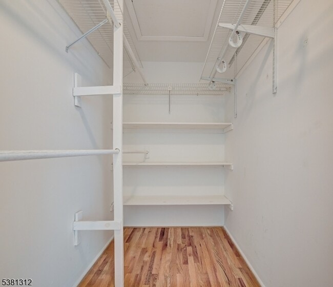 Building Photo - 326 Araneo Dr
