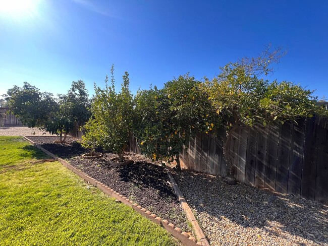 Building Photo - FULLY REMODELED 3+BR/2BA home in EL CAJON ...