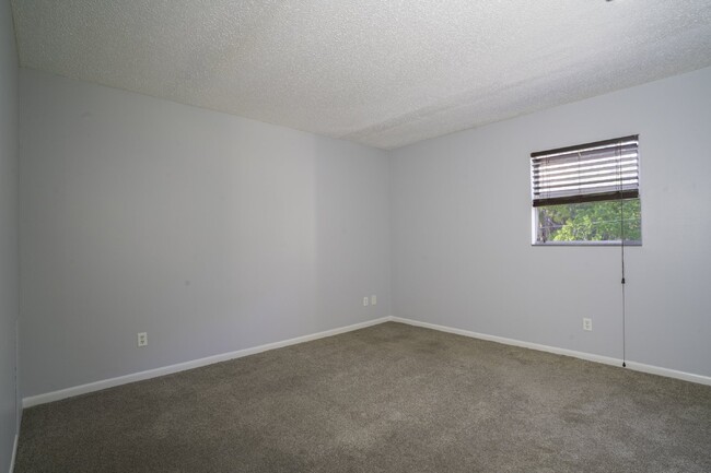 Building Photo - Spacious 1/1 unit walking distance to Walm...