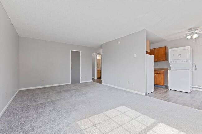 Interior Photo - Bardon Apartments