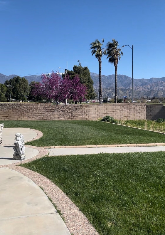 Building Photo - 1002 Calderon Wy