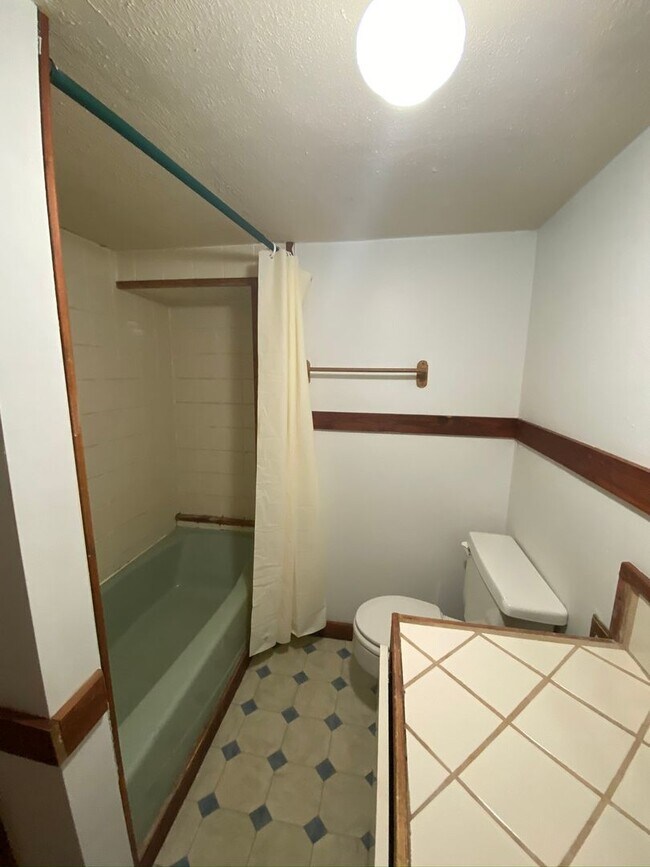 Building Photo - City of Gunnison Spacious 2 bedroom/2.5 bath!