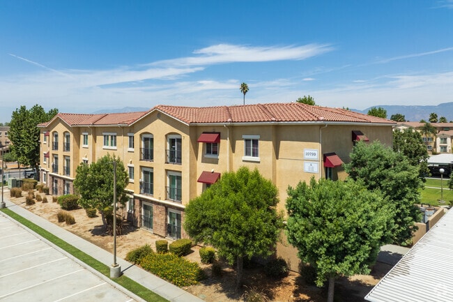 Primary Photo - Loma Linda Commons