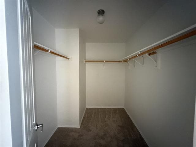 Building Photo - 2224 Hummingbird Way