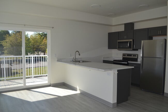 Shaker style cabinets, stainless steel appliances - The Dex