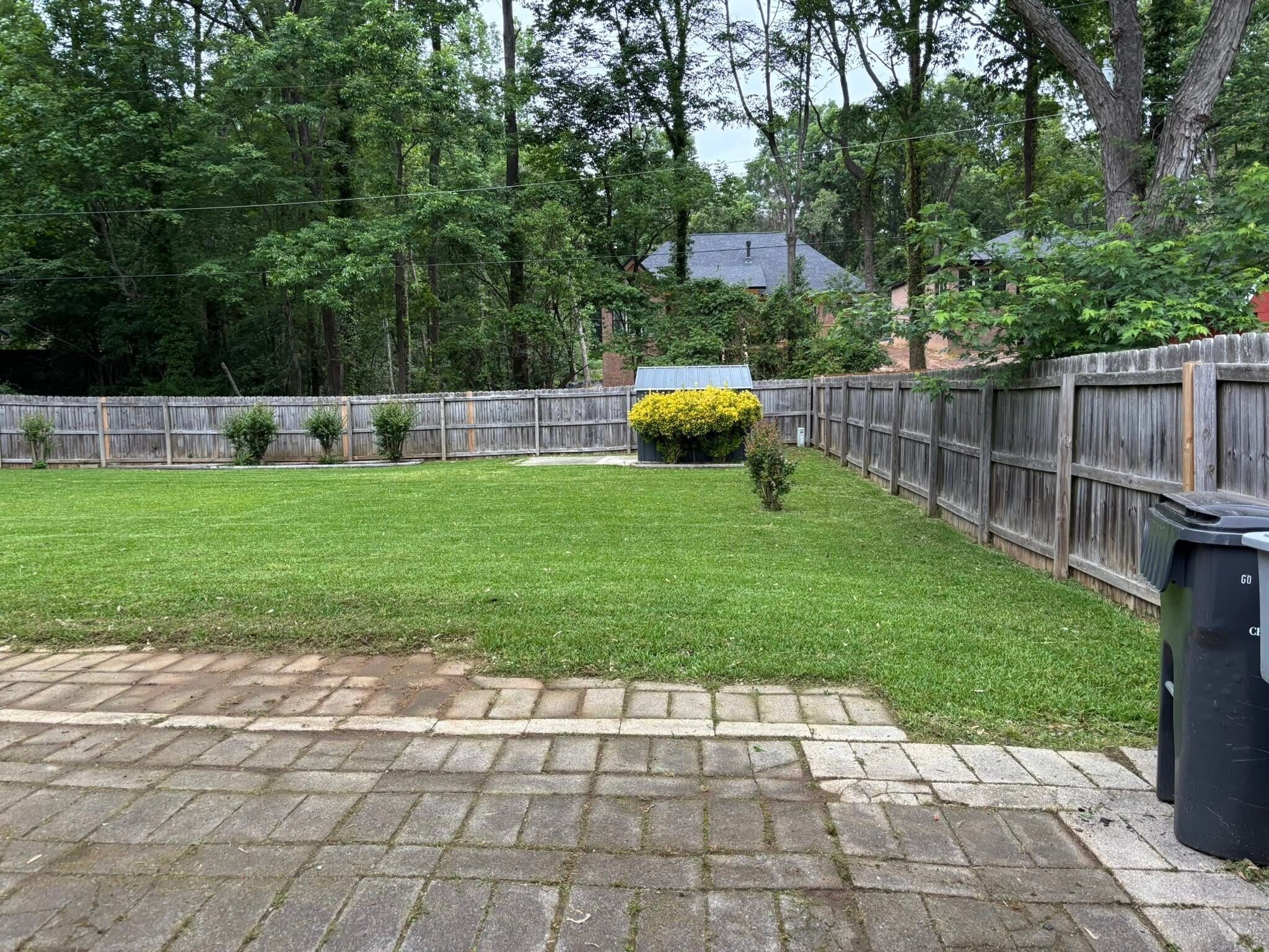 Backyard 1 - 1210 Fox Run Dr