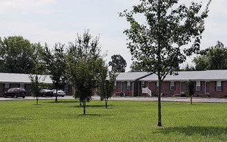 Building Photo - 627 Rice Cir