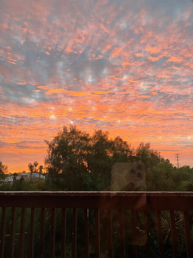 Sunrise from master bedroom deck - 5009 Ellison Plz