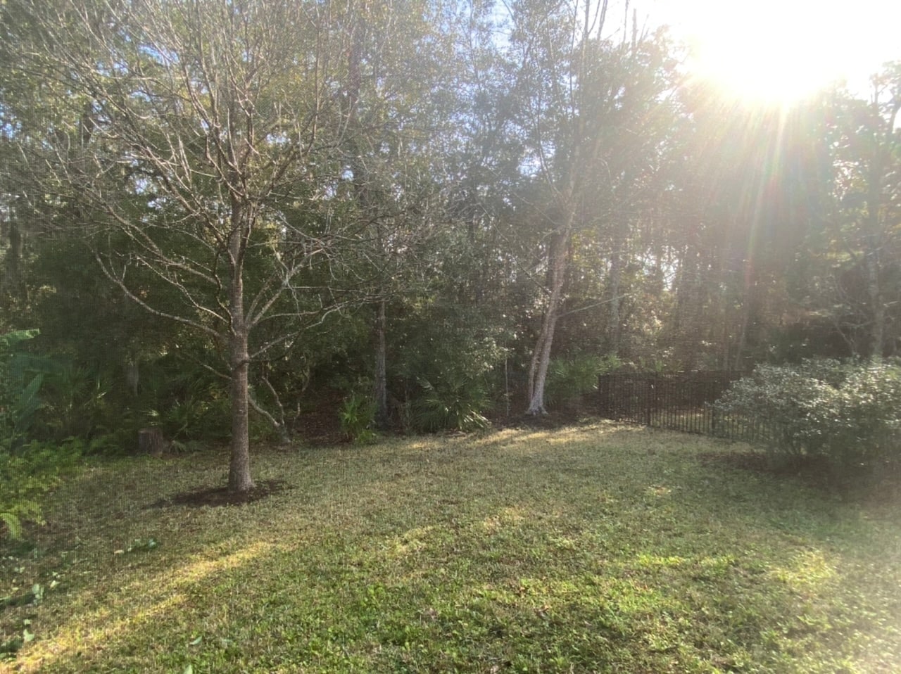 Backyard - 137 Bison Trl