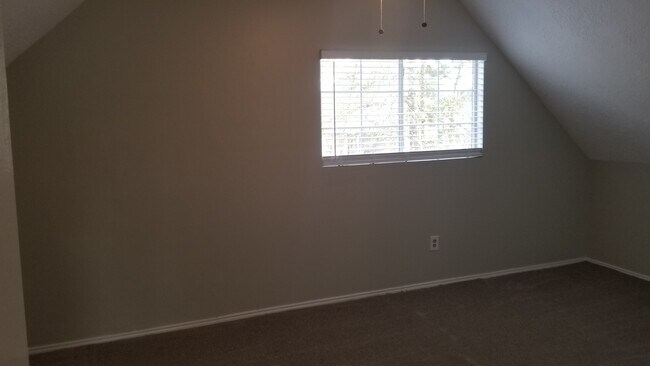 bedroom #3 with new carpet - 16778 N Bob White Dr