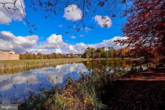 Building Photo - 1708 Lake Shore Crest Dr