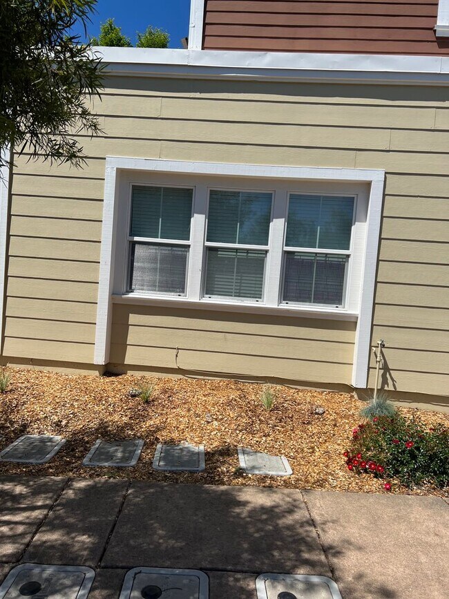 Building Photo - Studio in North East Santa Rosa