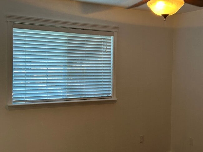 Building Photo - Lots of NEW