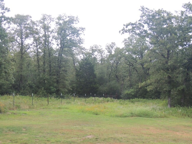 Peaceful and beautiful views. - 910 Perry Ln