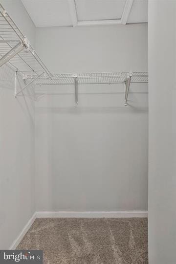 Building Photo - 4325 Lord Fairfax Ct