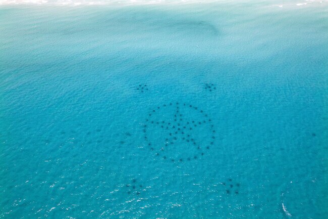 Building Photo - 4518 John Ave