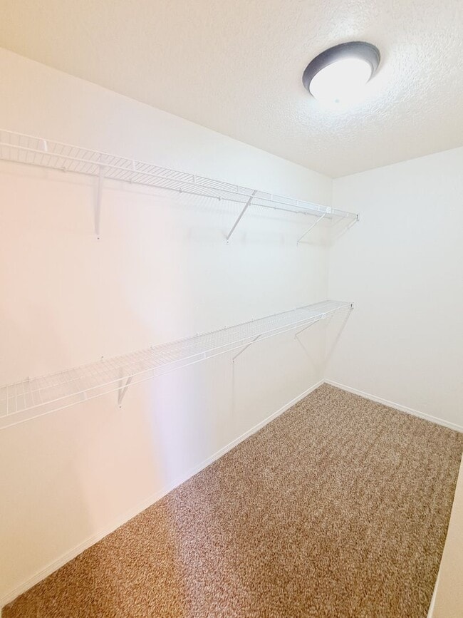 Building Photo - 3 bed 2 bath home in Huning Ranch