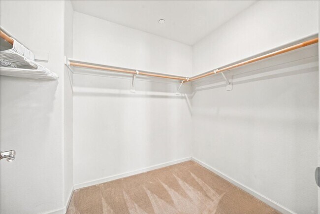 Building Photo - 15 Bannock Glen Pl