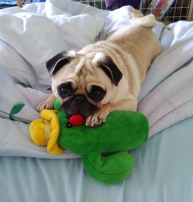 Building Photo - 7002 JFK Blvd E