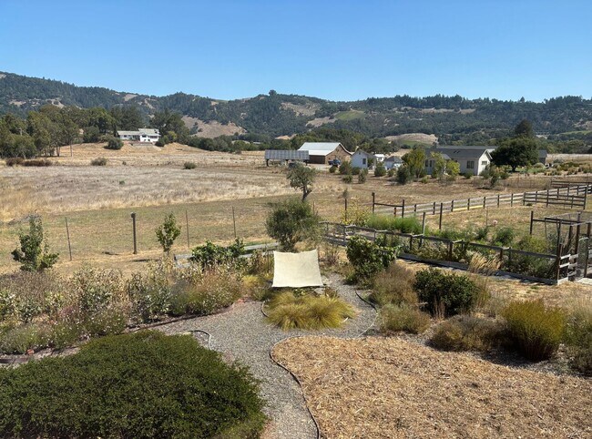 Building Photo - 6 Acres; 3 bedroom 2 bath plus bonus room ...