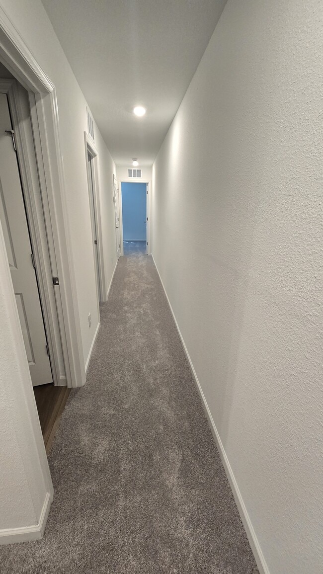 Building Photo - 581 Holly Lks Dr