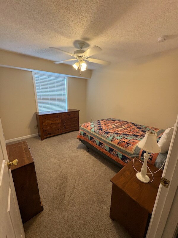 Building Photo - 801 Moultrie Ct