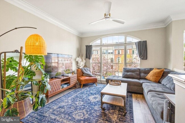 Building Photo - 10136 Pale Rose Loop