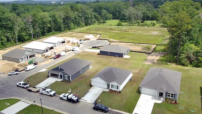 Building Photo - McCalla Trace Newly Constructed 4 BR/ 2 Ba...