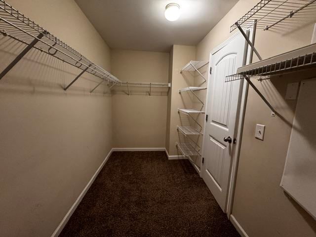 Building Photo - 915 Oglethorpe Dr