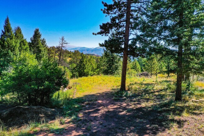 Building Photo - Backcountry Living