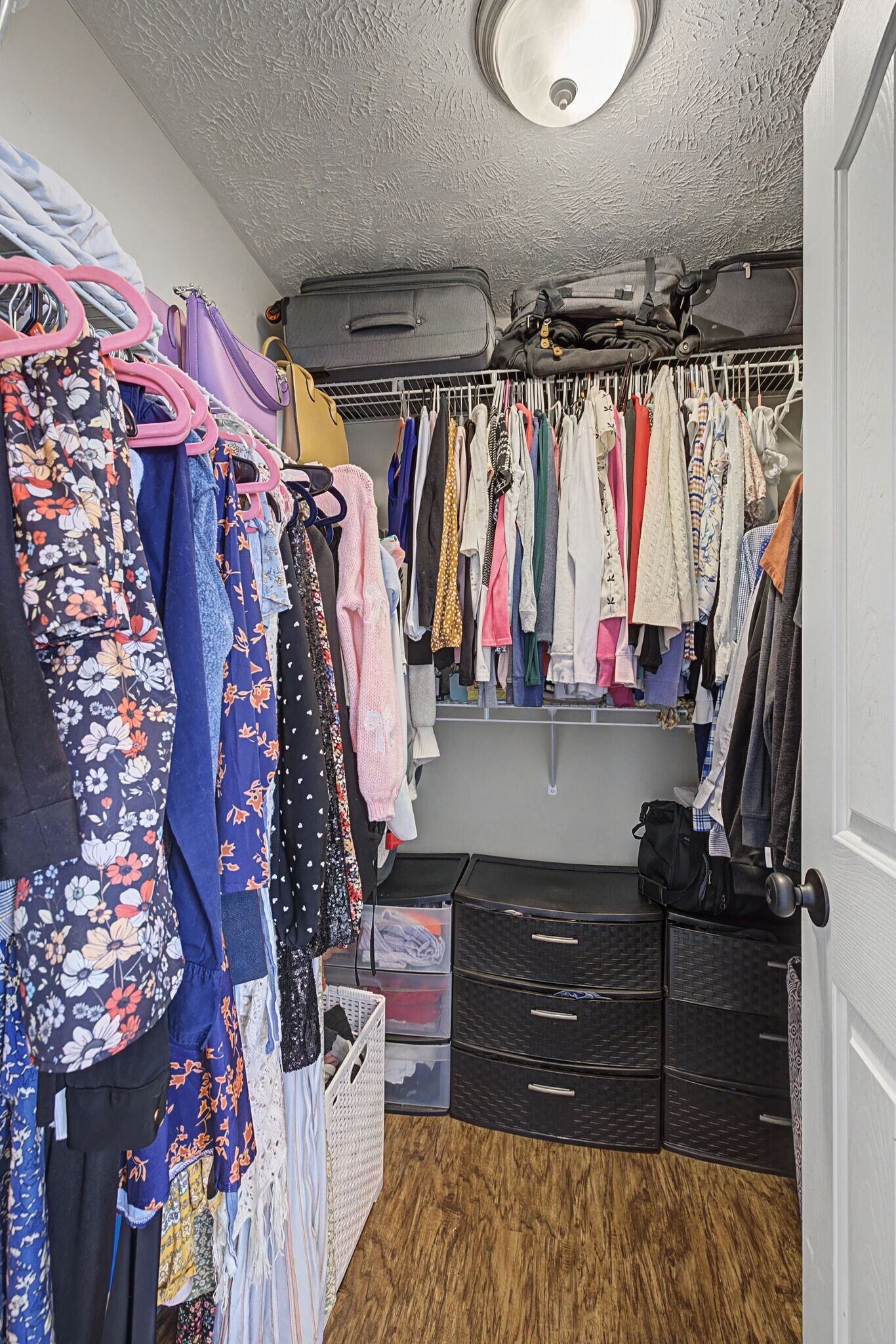 Building Photo - 401 Niagra Ln