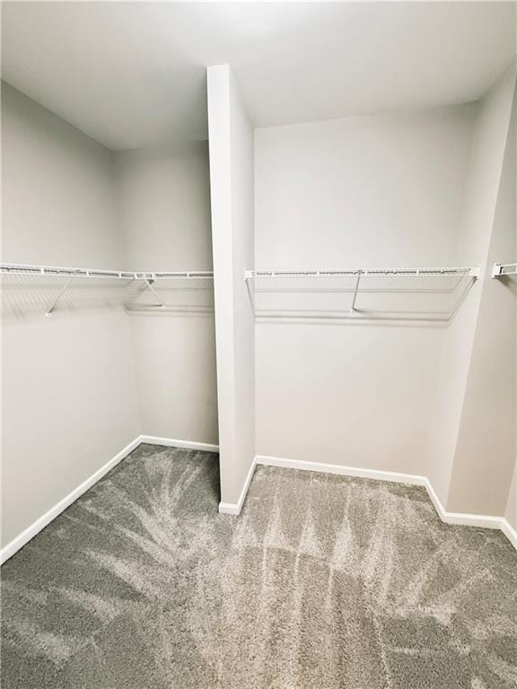 Building Photo - 3827 Manor View