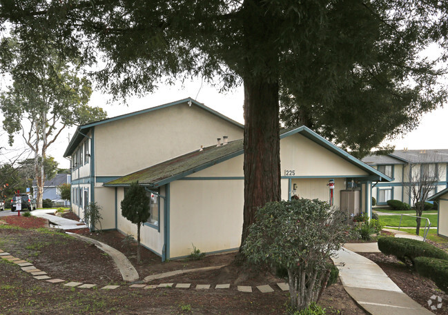 Building Photo - Clifford Manor