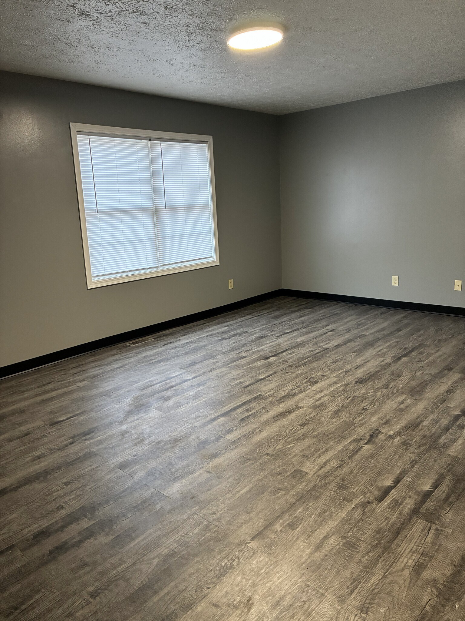 Family Room - 2125 Cleveland Ave