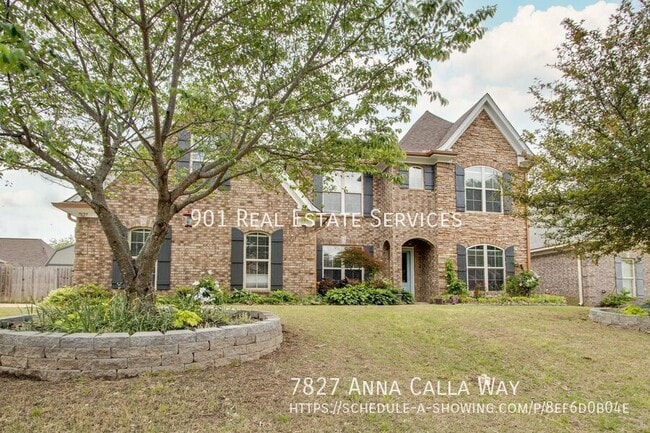 Building Photo - 7827 Anna Calla Way