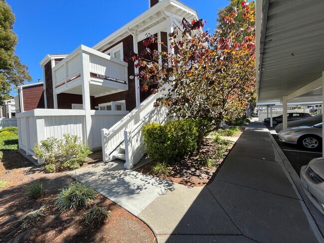 Building Photo - 205 Marina Lakes Dr