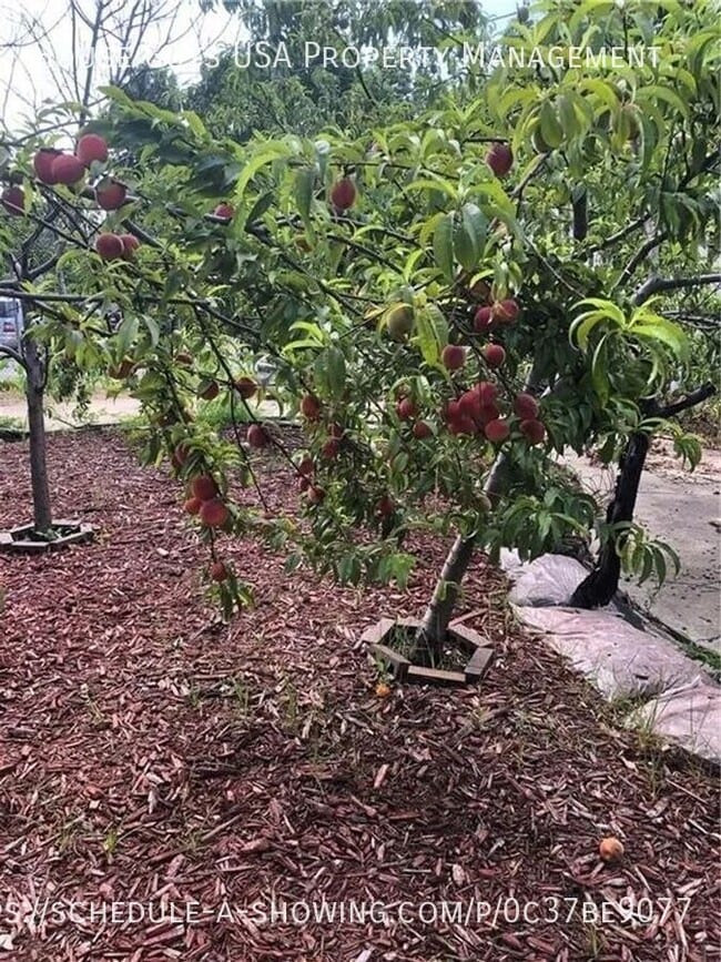 Building Photo - 515 Wabash Ave